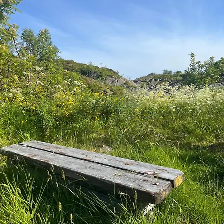 Apartman Cozy Kabelvåg